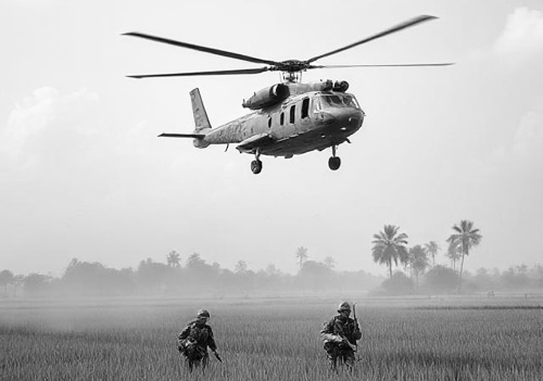 Scene from the Vietnam War showing American soldiers patrolling a rice paddy with a Huey helicopter hovering